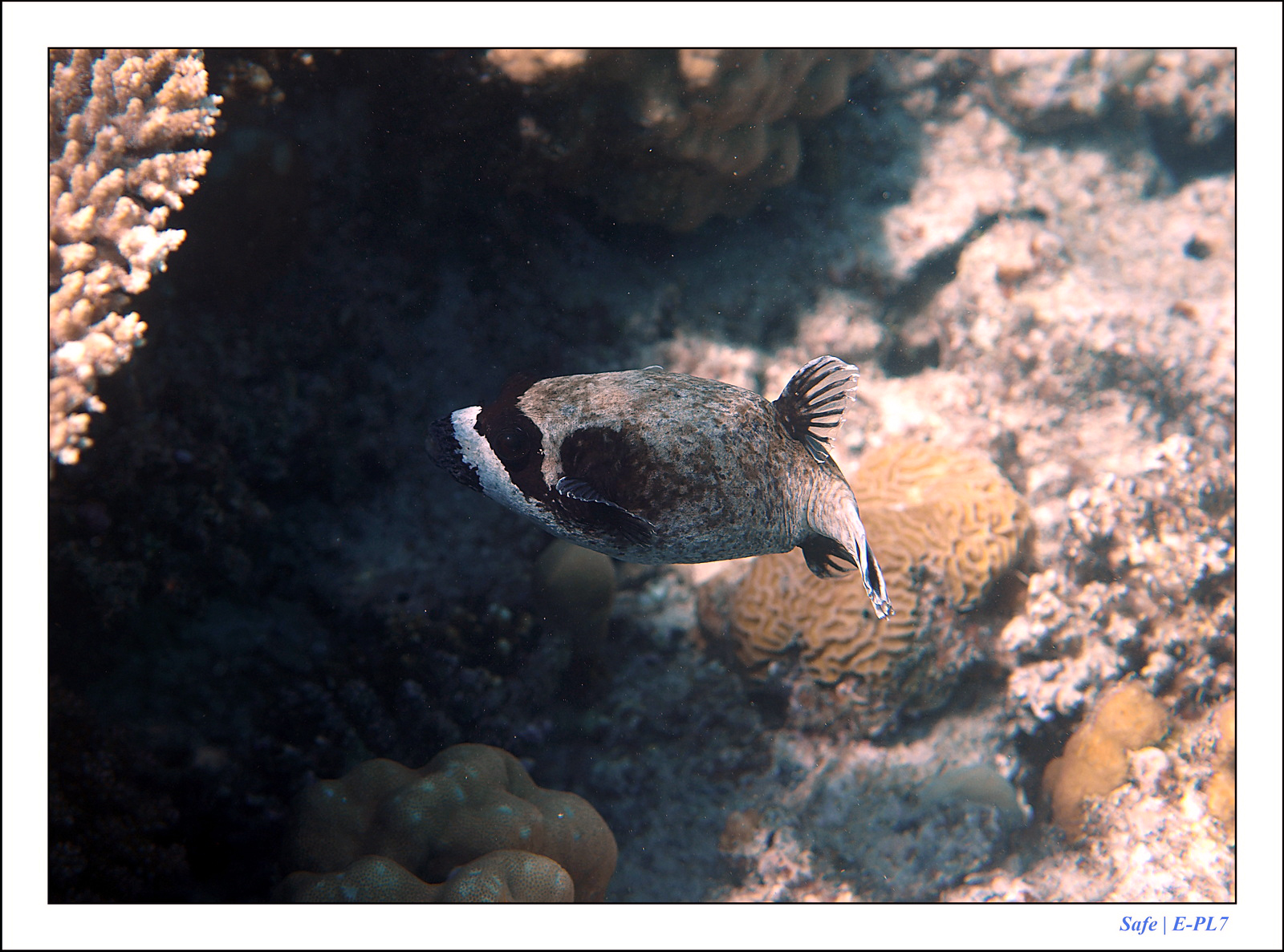 Hurghada - Juillet 2021 - 050